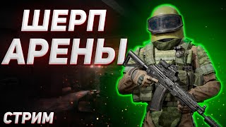 ARENA BREAKOUT | СТРИМ | УЧУ НОВИЧКОВ | ИГРАЮ С ПОДПИСЧИКАМИ