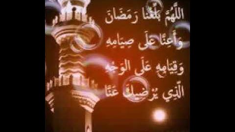 تلاوه القارئ ضياء أحمد العزي ما تيسر من سورة البقره