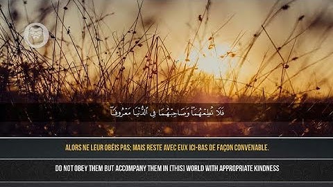 سورة لقمان (كاملة) ياسر الزيلعي || Yasser Al Zailay   Sourate Luqman