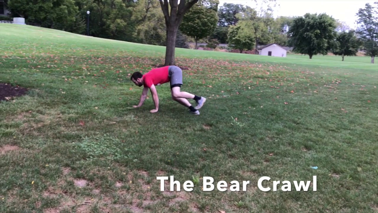 The Bear Crawl Exercise - YouTube