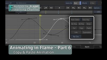Animating in Flame - P6 - Copy & Paste Animation - Flame 2020.3