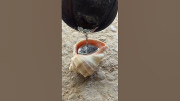 Turn Scrap Into a Snail Shell 😱 Aluminum Casting Magic #shorts #viralvideo #reels #restoration