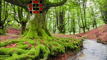 Point and Click Escape Forest video walkthrough