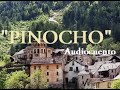 PINOCHO Audiocuento infantil completo