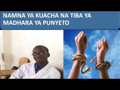PUNYETO NAMNA YA KUACHA NA TIBA YA MADHARA YAKE