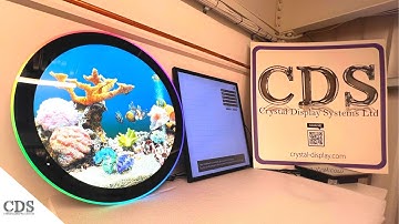 MUST SEE Halo Touch Full Circular Display vs Square Touch Display