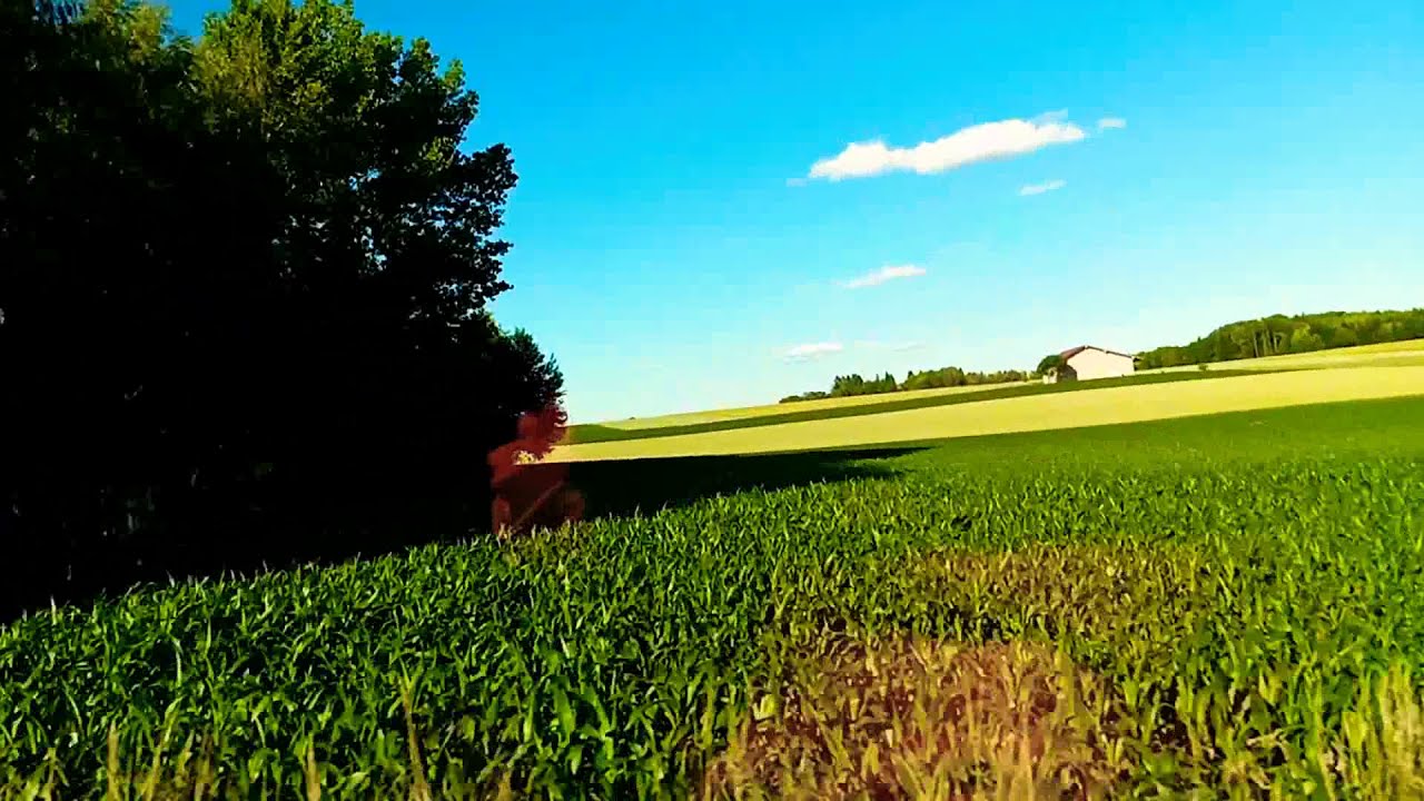 DRIVING TO THE HUGE FARMLAND AT BADEN WURTEMBERG SOUTHWEST GERMANY