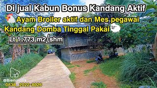 Download Lagu 🐓 Dijual Peternakan Ayam Bonus Kandang Domba \u0026 Perkebunan Produktif – Cipeusing Bojong, Purwakarta 🌿 MP3 Download Lagu 🐓 Dijual Peternakan Ayam Bonus Kandang Domba \u0026 Perkebunan Produktif – Cipeusing Bojong, Purwakarta 🌿 MP3