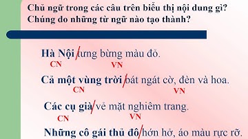 LTVC   Chủ ngữ trong câu kể Ai thế nào   tuần 22