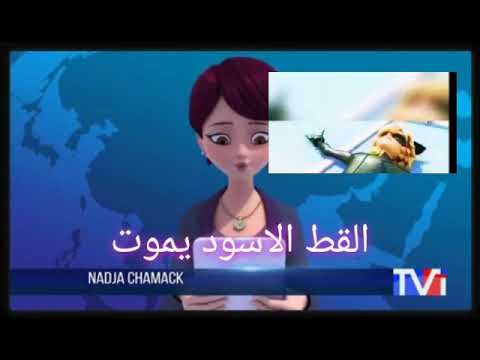 موت القط الاسود على اغنية حزينة