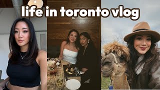 LIFE IN TORONTO: vlog is back! BREAKUP?! Alpaca Farm with Air Transat, eating at TOCA, HAIR CUT!!