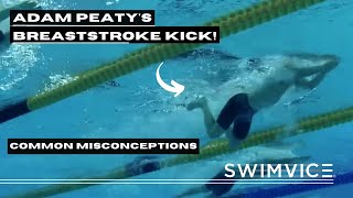 One Common Misconception with the Breaststroke Kick! | Swim Technique | Breaststroke | Adam Peaty