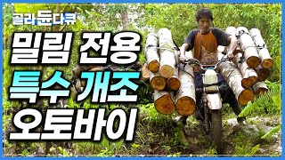 길도 차도 없는 밀림 한복판에서 통나무 실어 나르는 특수 개조 오토바이｜인도네시아 자바 섬 나무꾼들의 벌목 현장｜해외 극한직업｜#골라듄다큐