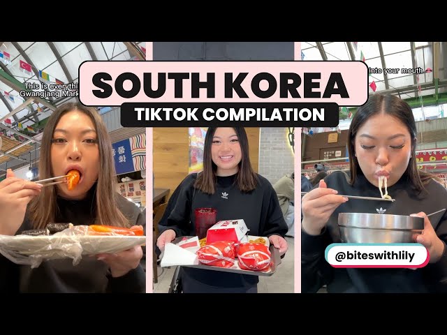 South Korea Food 🇰🇷 | Biteswithlily TikTok Compilation class=