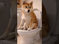 やっちまった…！二度寝から覚めた柴犬のモーニングルーティン🐶💦