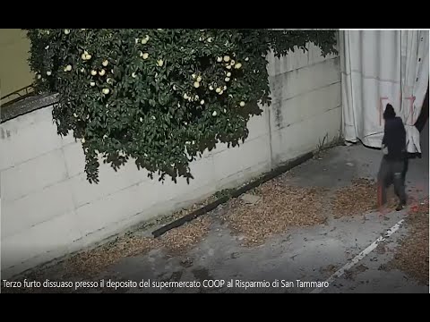 Terzo furto dissuaso presso il deposito del supermercato "COOP al Risparmio" di San Tammaro (CE)