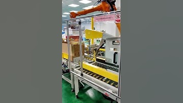 Automatic robot palletize for bags,box,carton