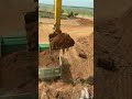 Big Bucket vs Small Dump Truck! | Heavy Equipment in Action #shorts