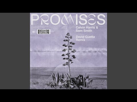 Promises (David Guetta Remix)