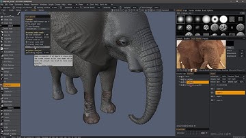 Using Reproject tool to preserve Sculpt Layers