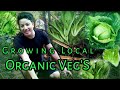 Growing Local Organic 🥦🥦🥦