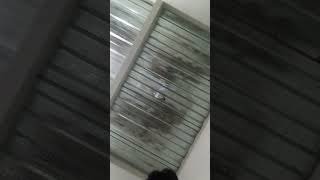 D masiv - merindukanmu