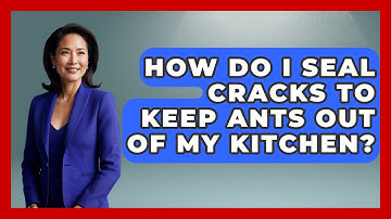 How Do I Seal Cracks To Keep Ants Out Of My Kitchen? - Insects and Invaders
