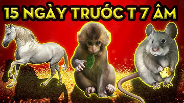 Trước Tháng 7 Âm, 3 Con Giáp Gặp Thời Trúng Quả, Xóa Sạch Nợ Nần, Đổi Vận Giàu Sang.