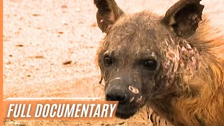 Namibia’s Wild Skeleton Coast  Dangerous and Wild | Full Documentary