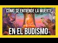 💀Sobre la REENCARNACIÓN🕯️ KARMA🕉️ e ILUMINACIÓN💡  I Budismo para Principiantes I