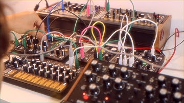 Make Noise Strega -- Beast of Techno || Feat. Moog DFAM, 0-Ctrl and 0-Coast