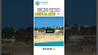 진짜 광기들의 성지 세인트마틴 섬 근황