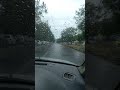 Rainy Morning #weather #Islamabad #shorts