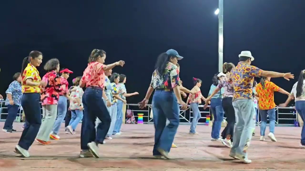 ชะชะช่า พิณซิ่งรีมิกซ์