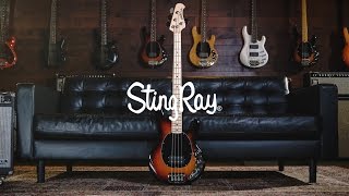 Ernie Ball Music Man StingRay 4 Bass: Joe Dart Demos