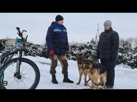ДТ - 250. Ускоренный спец курс повышенной сложности с немецкими овчарками. 3 сезон Урок 5.