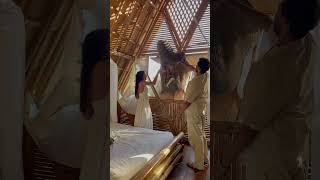 Tourists Feed Elephant from Bungalow Window in Chiang Mai