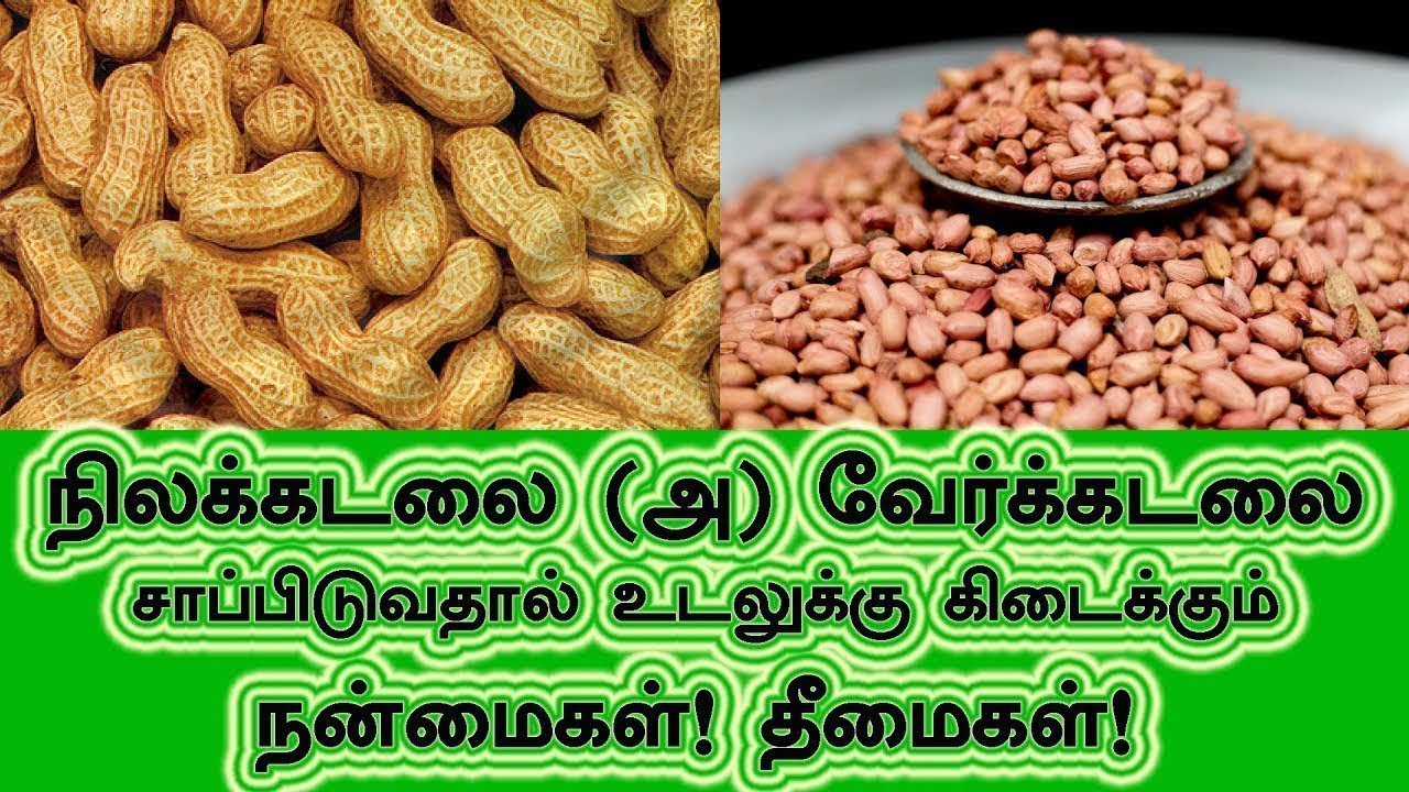 டாக்டர்களின் எதிரி நிலக்கடலை சர்க்கரையைக் கொல்லும் வேர்கடலை பயன்கள்
