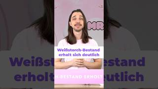 Weißstorch-Erfolg: Artenschutz wirkt Wunder! #shorts