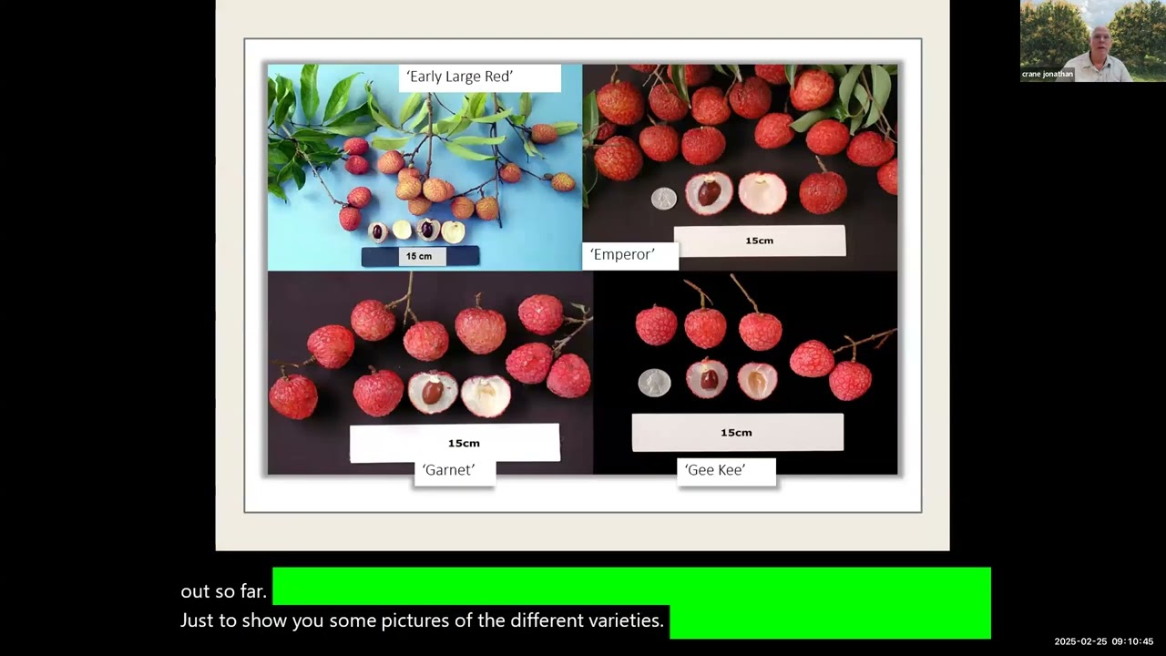 Tropical Fruit New Growers' Workshop: Lychee and Longan