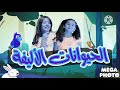 الحيوانات الأليفة زين ويارا طيور الجنة    