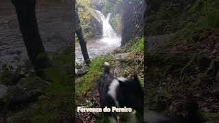 En Vedra, La Coruña ☘️ #nature #cascada #dog #waterfall #galicia #travel #naturaleza #hiking #dogs