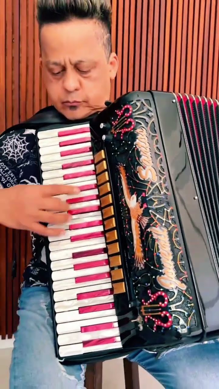 https://rifei.com.br/acordeon-melody-president