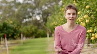 2019 Science Awards Finalist - Dr Beth Loveys, STEM Educator of the Year - Tertiary Teaching