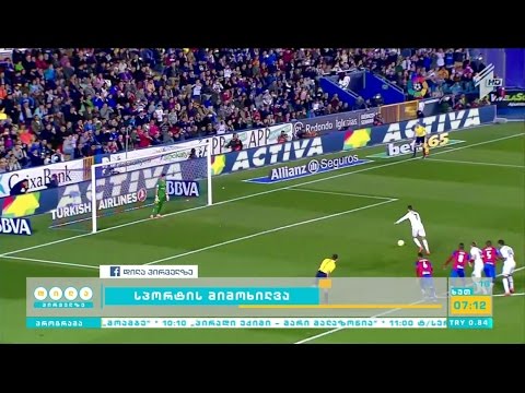 სპორტის მიმოხილვა