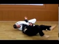 Compilation of gongkwon yusul grandmaster kang techniques