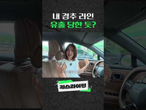 내 경추 라인 유출 당한 듯? #카스라이팅 #현대차 #그랜저 #GN7 #페이스리프트 #메이튼 #실버레이무선청소기 thumbnail