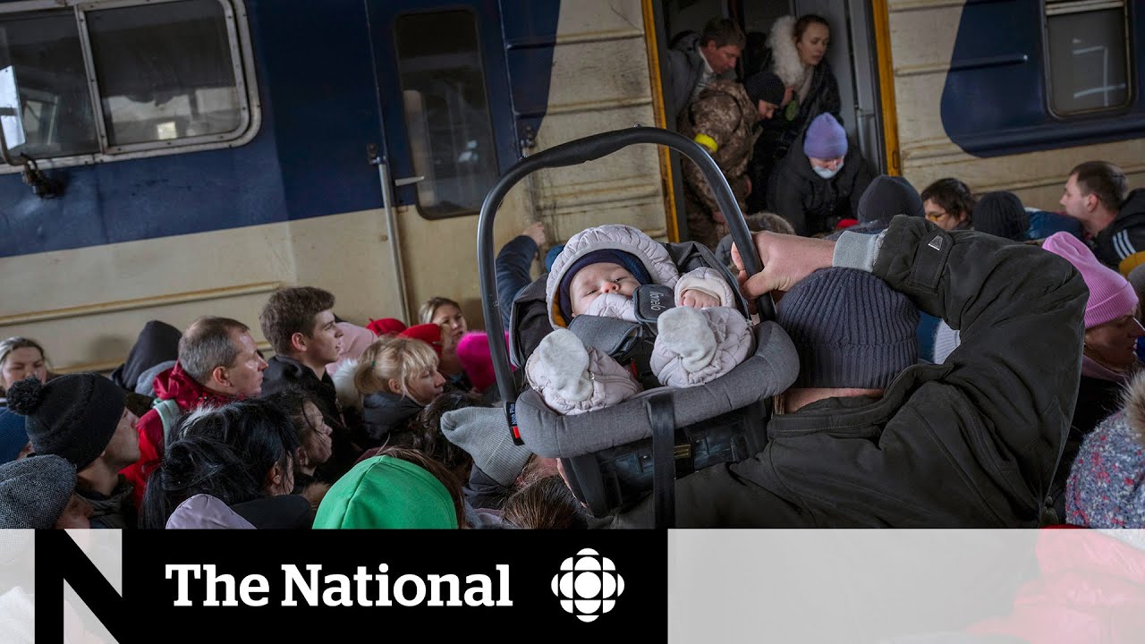 Ukrainians desperate to escape to anywhere that will take them