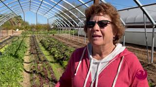 Farmland Preservation Program Permanently Protects South Phoenix Farm