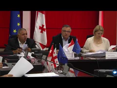 29.09.2017 რუსთავის საკრებულომ რიგგარეშე სხდომა გამართა